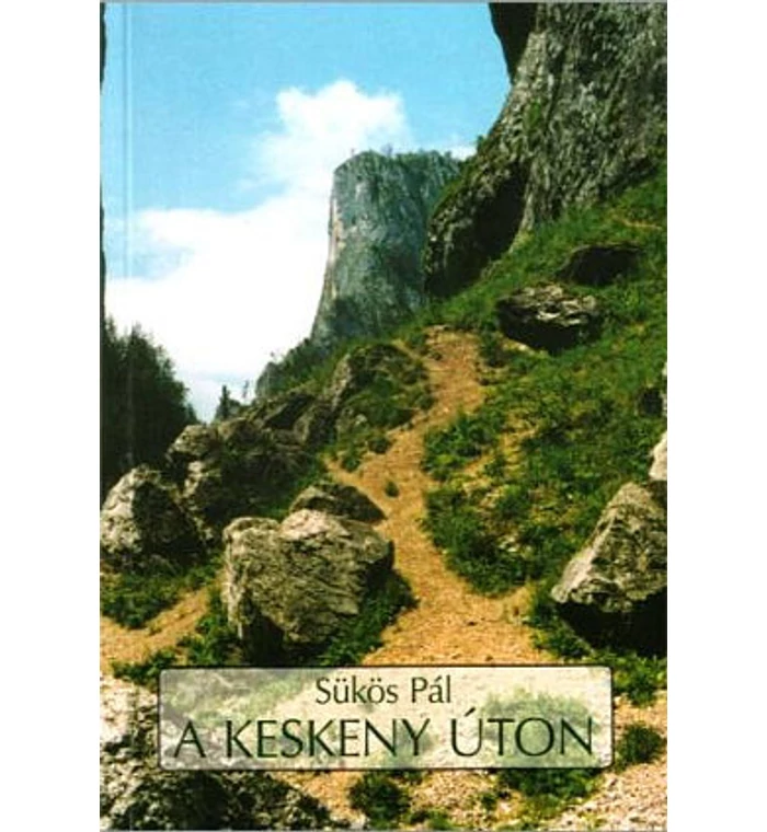 Sükös Pál - A keskeny úton / egy lelkipásztor személyes ébredése