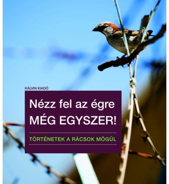 Molnár István - Nézz fel az égre még egyszer!