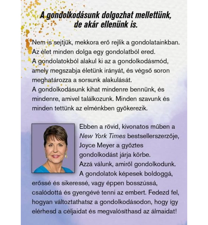 J. Meyer - Győztes gondolkodás