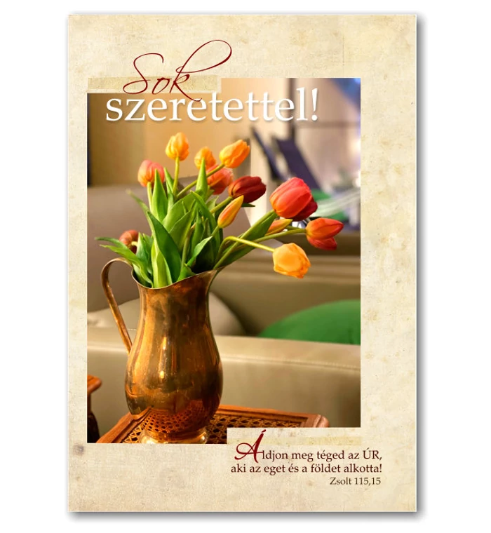 B/Sok szeretettel - 04