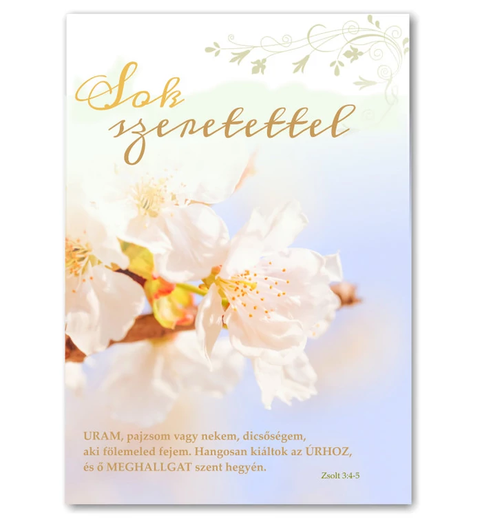B/Sok szeretettel - 01