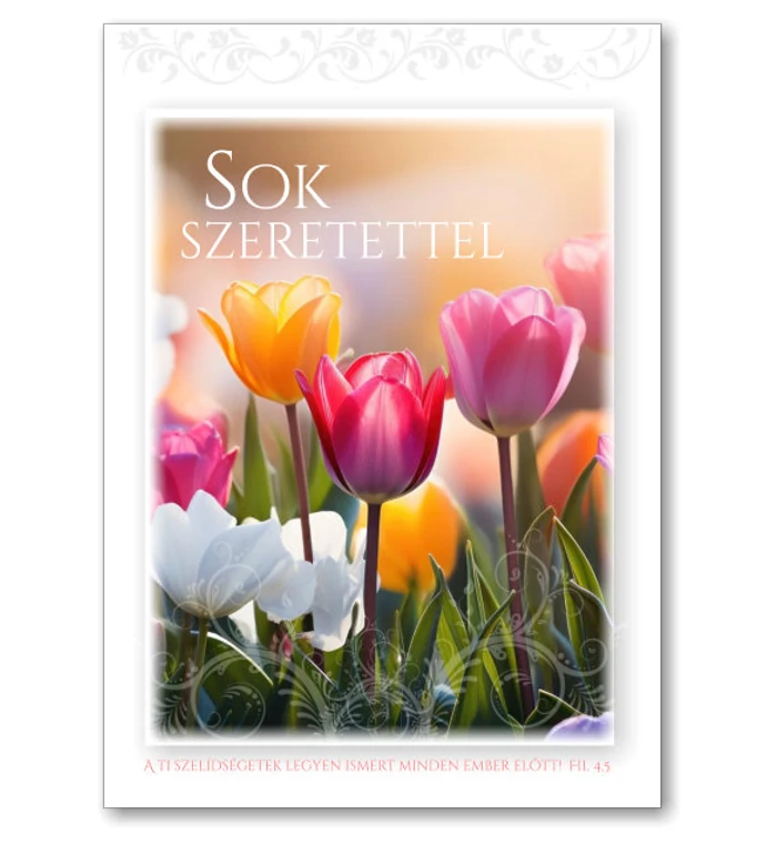 Képeslapok - 10db (Sok szeretettel) 02