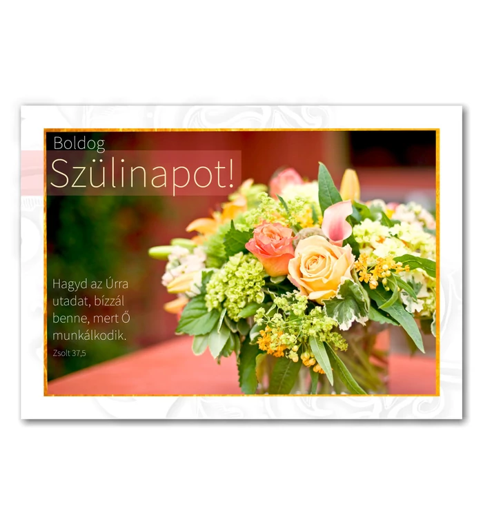Képeslap - Születésnap - 13