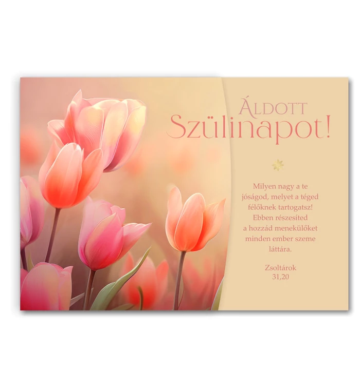 Képeslap - Születésnap - 06