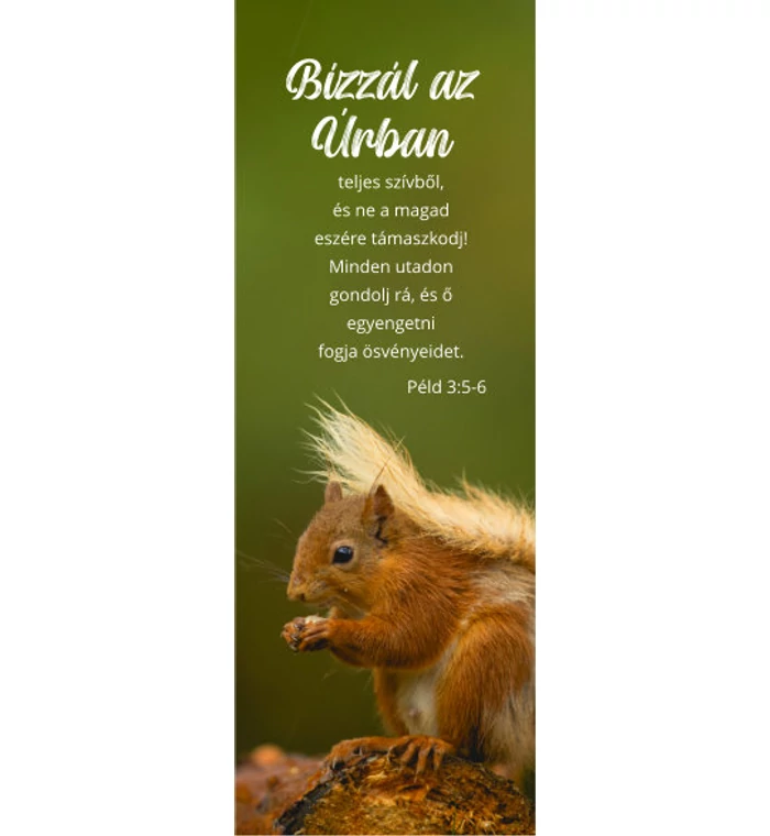 Könyvjelző - 16