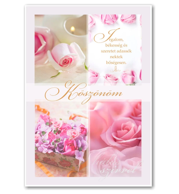 B/Köszönöm - 01