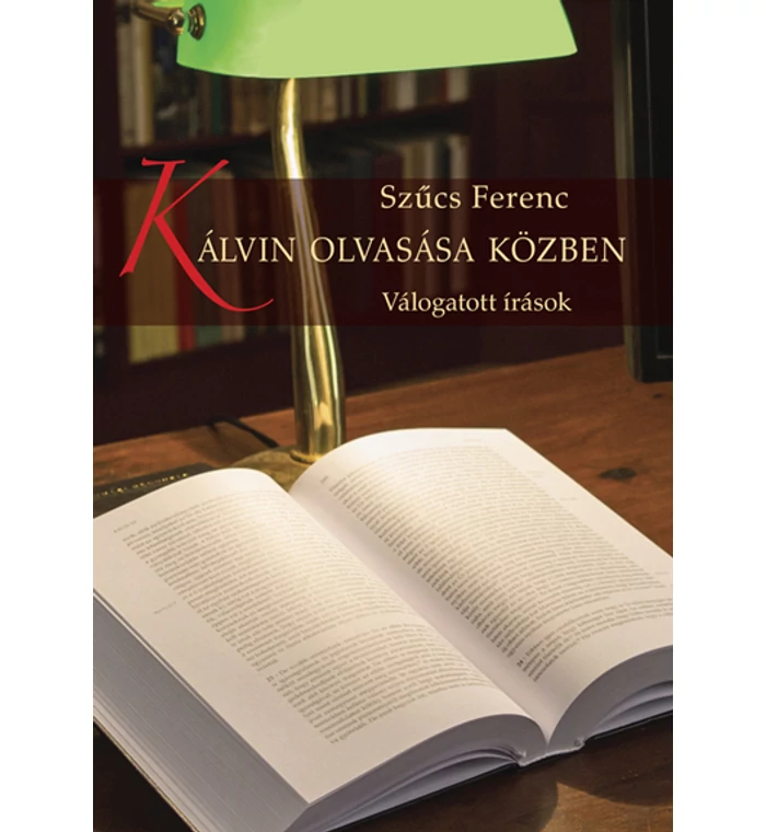 Kálvin olvasása közben