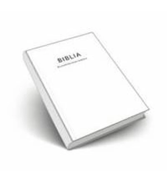 Biblia - Kecskeméthy-fordítás