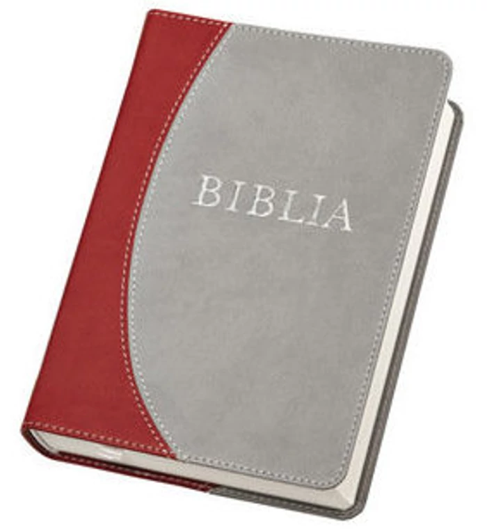 Biblia - RÚF (középméret, puha, varrott, szürke-bordó)