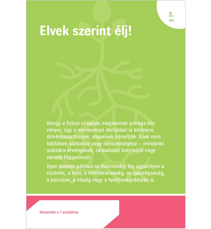 A kiemelkedően eredményes fiatalok 7 szokása – kártyacsomag