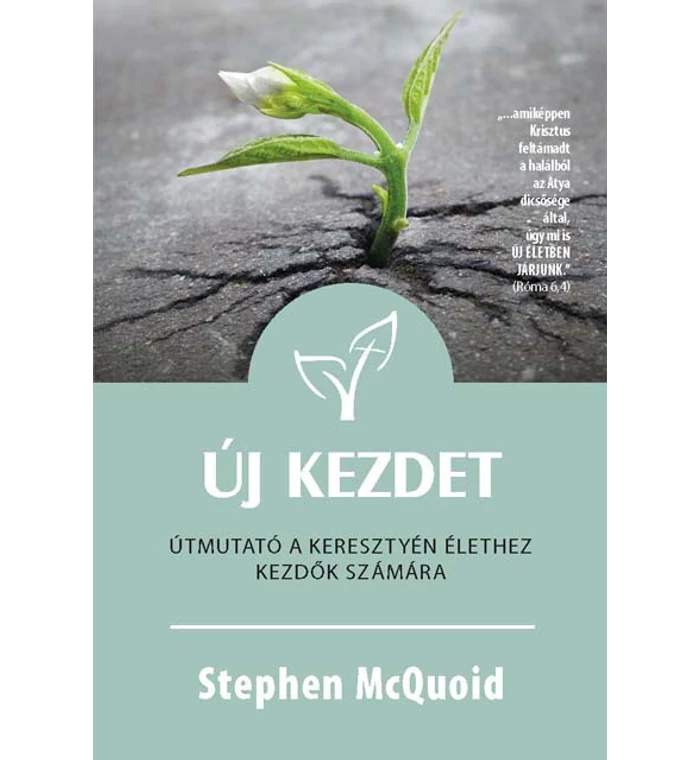 St. McQuoid - Új kezdet