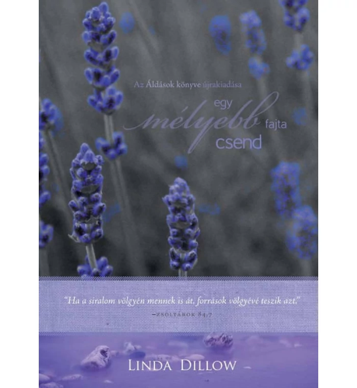 L. Dillow  - Egy mélyebb fajta csend