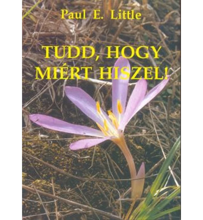 P. Little - Tudd, hogy miért hiszel!
