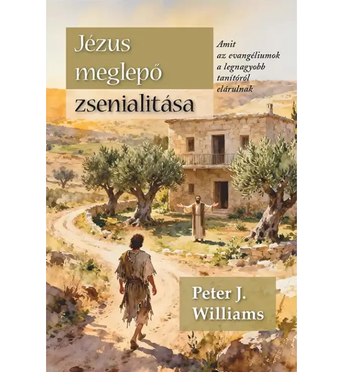 Peter J. Williams - Jézus meglepő zsenialitása