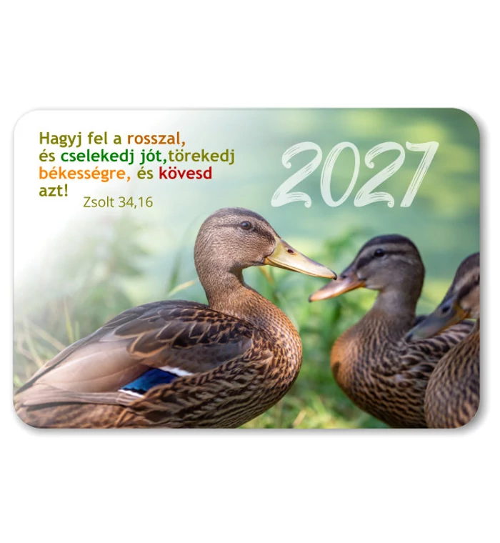 Kártyanaptár 08