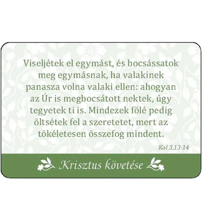 Kövess engem! – Igés kártyacsomag
