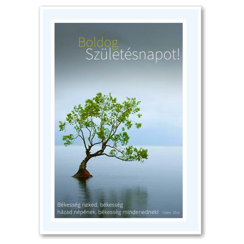B/Születésnap -16 B/Születésnap -16