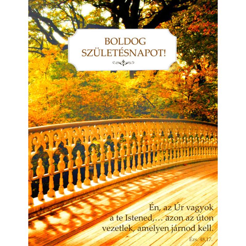 B/Születésnap - 09 B/Születésnap - 09