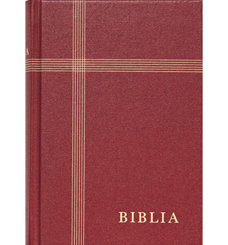 Biblia - RÚF (kicsi, vászon, bordó)
