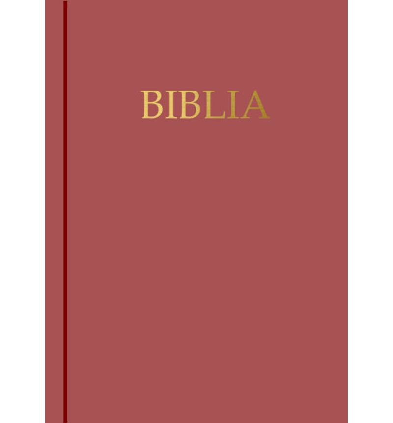 Biblia - EFO - kemény borítás (bordó)