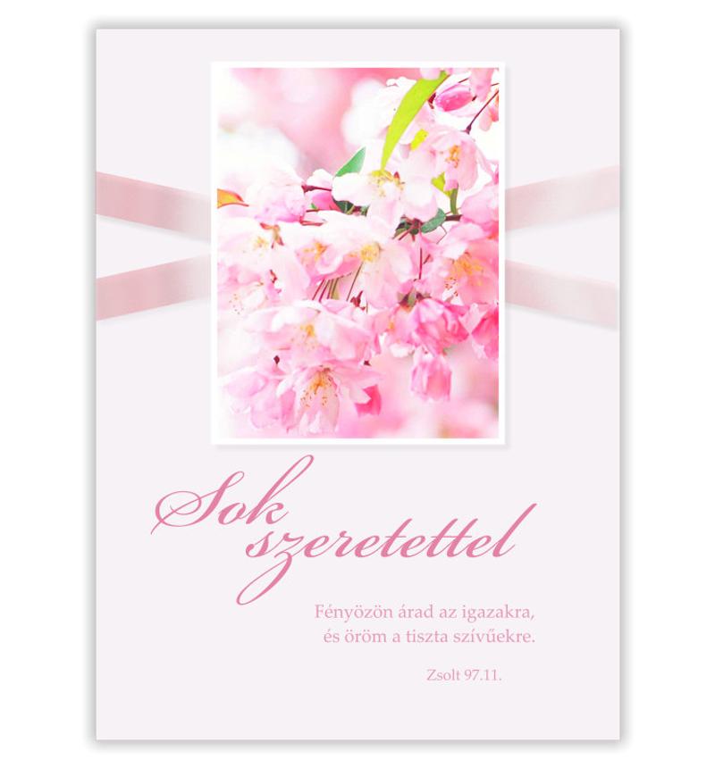 B/Sok szeretettel - 02