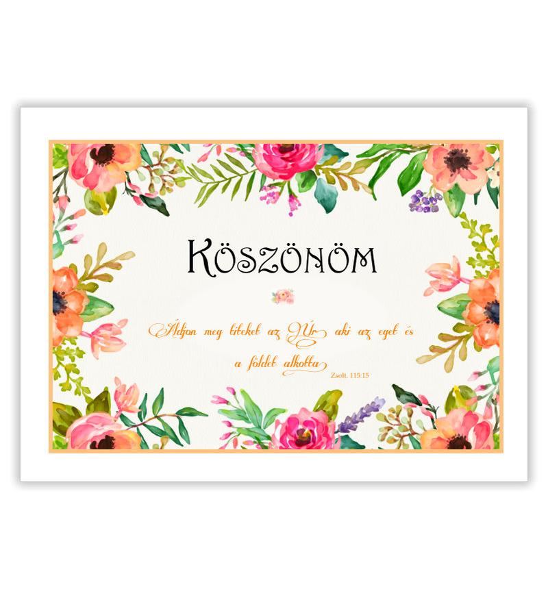 B/Köszönöm - 01