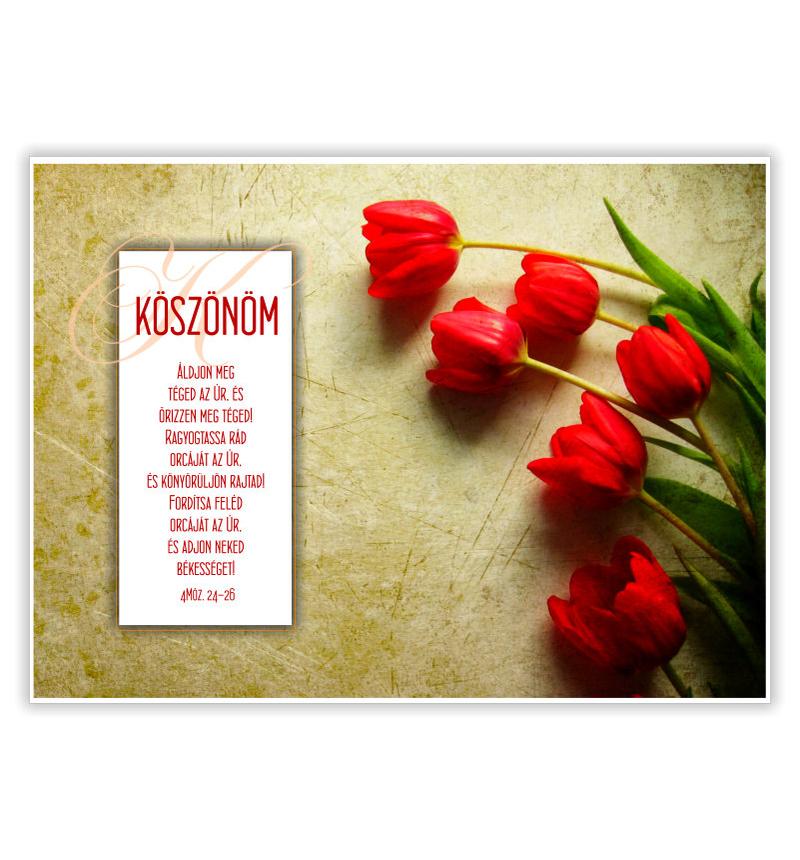 B/Köszönöm - 04