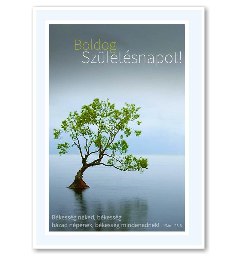 B/Születésnap -16