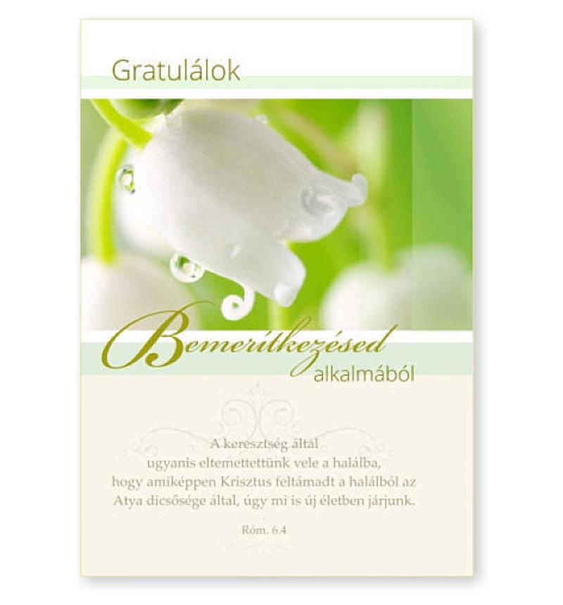 B/Bemerítkezésre