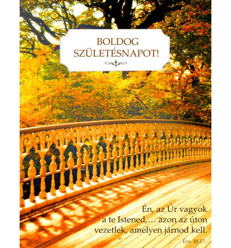 B/Születésnap - 09