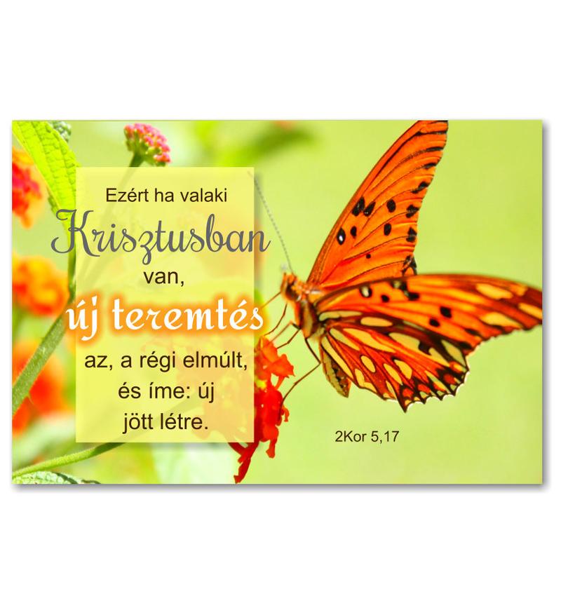 Igés Kártya - 07