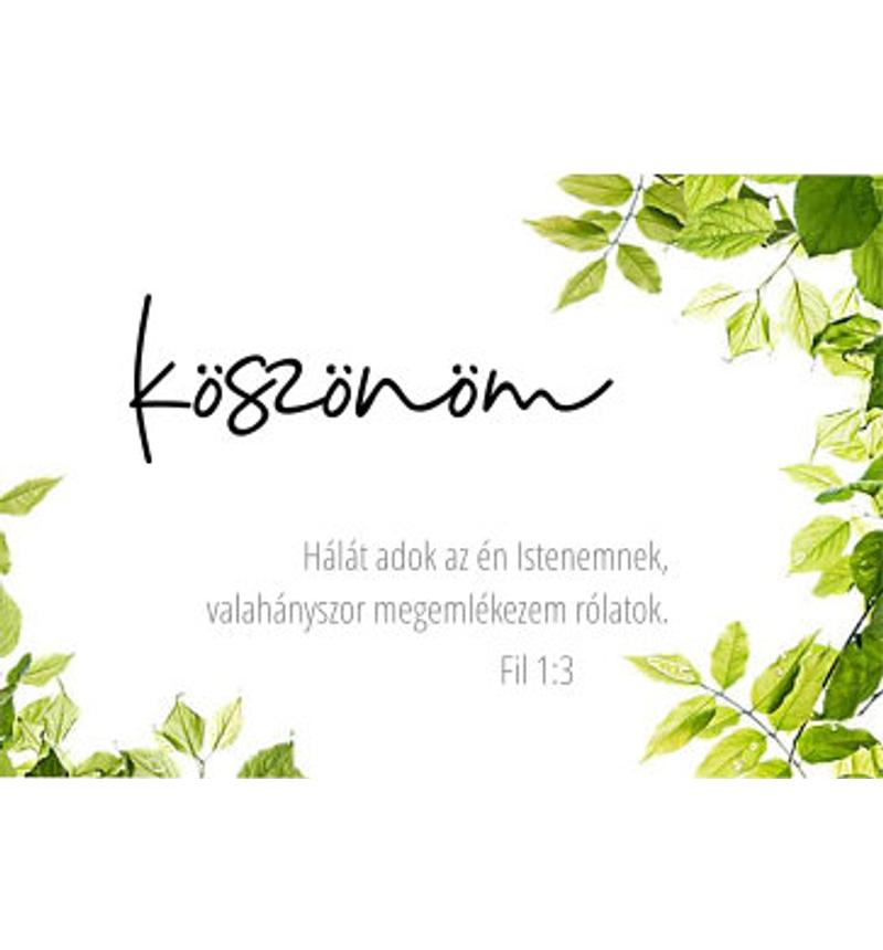 Igés kártya - 55