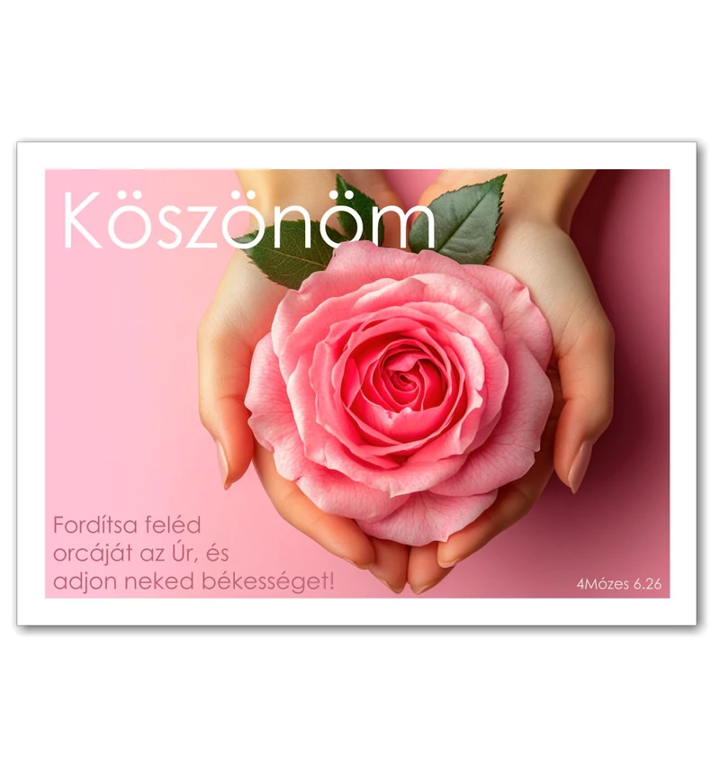 Képeslap - 04 (Köszönöm)