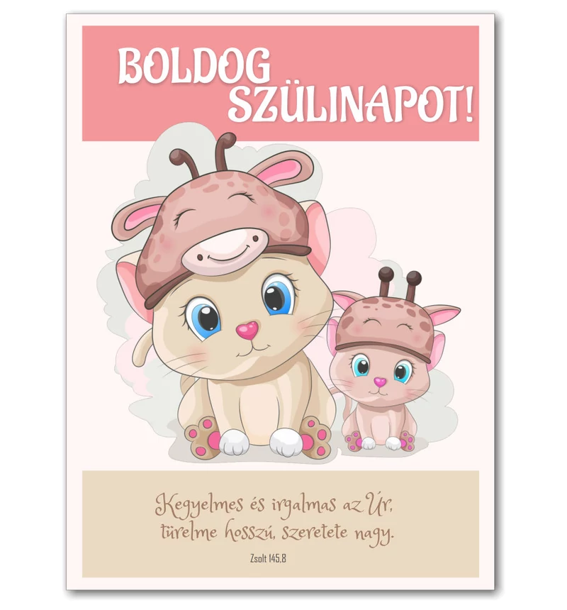 Képeslap - Születésnap - 09