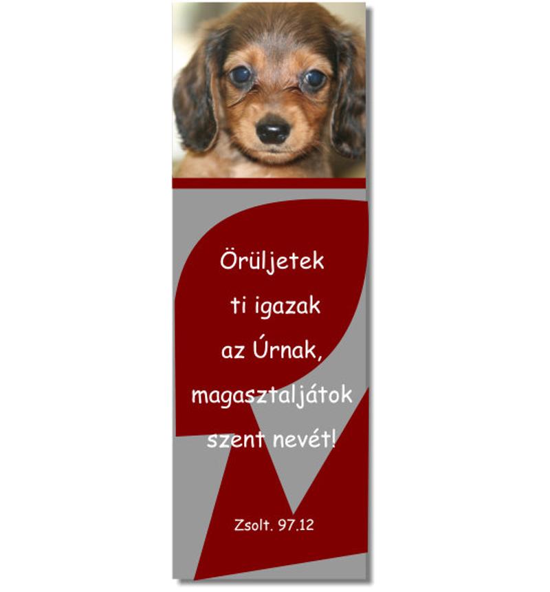Könyvjelző - 20