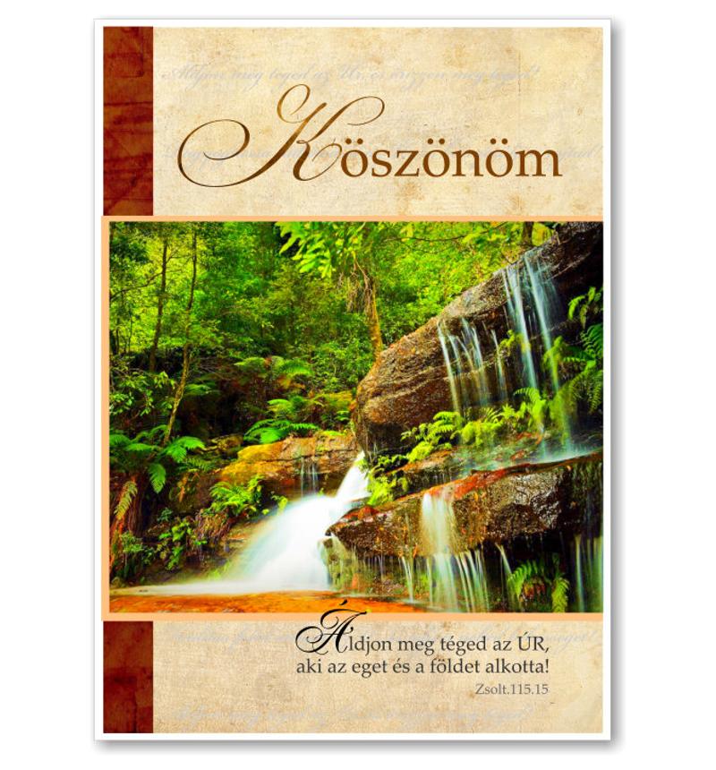 B/Köszönöm - 02