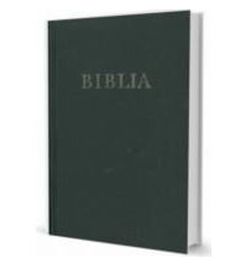 Biblia - RÚF (XL nagycsaládi, vászon, fekete)