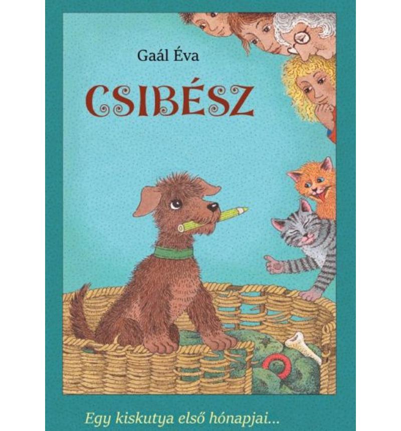Gaál Éva - Csibész
