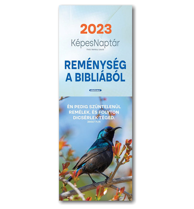Falinaptár - 2022 (K) képeslapos - madár
