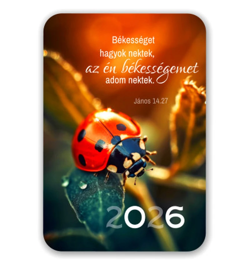 Kártyanaptár 03