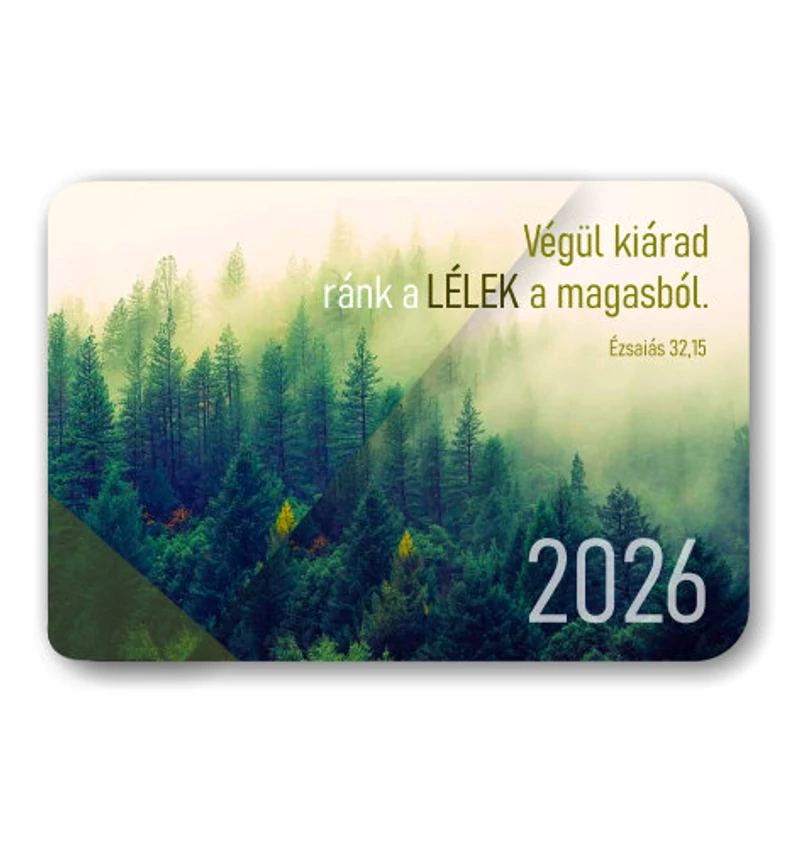 Kártyanaptár 08