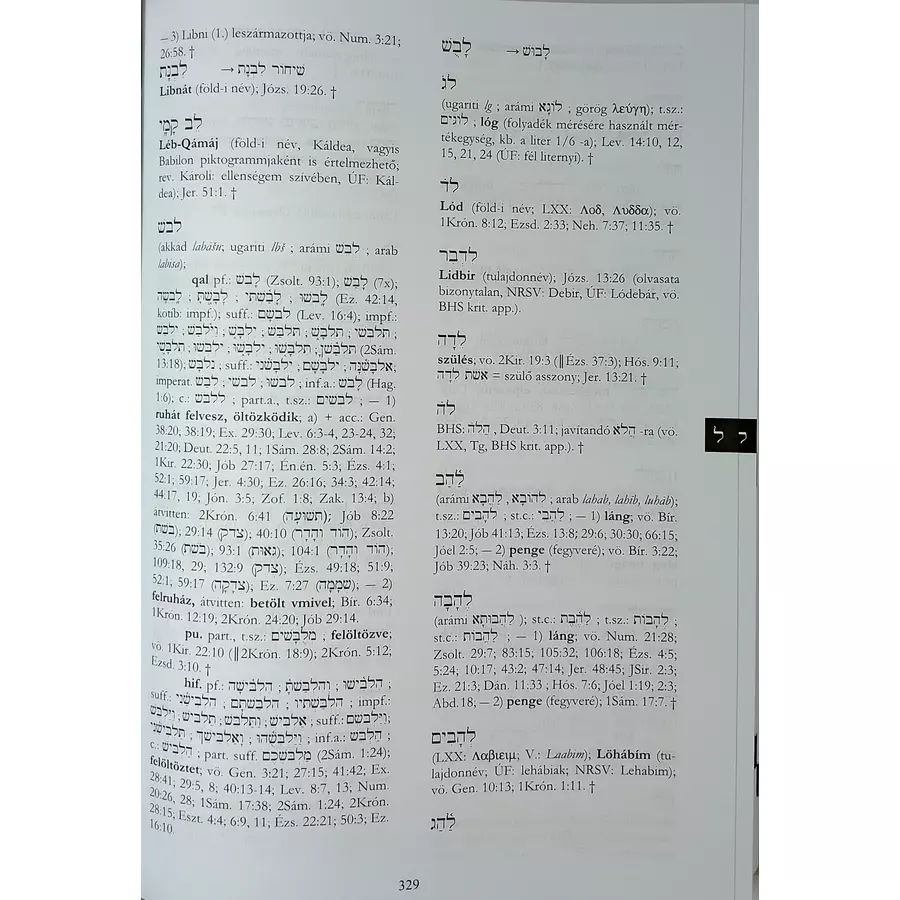 Bibliai Héber - Magyar Szótár