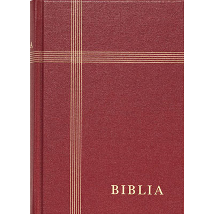 Biblia - RÚF (kicsi, vászon, bordó)