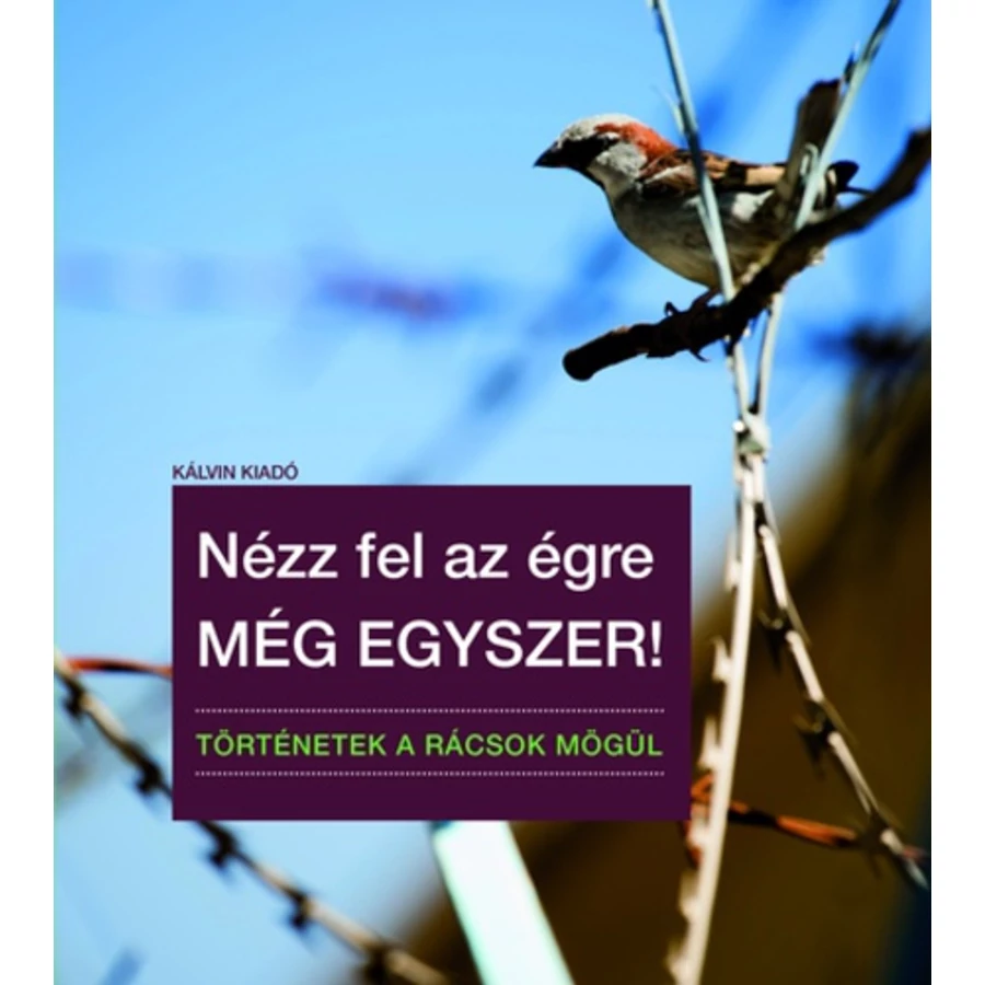 Nézz fel az égre még egyszer!