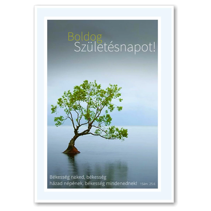 B/Születésnap -16