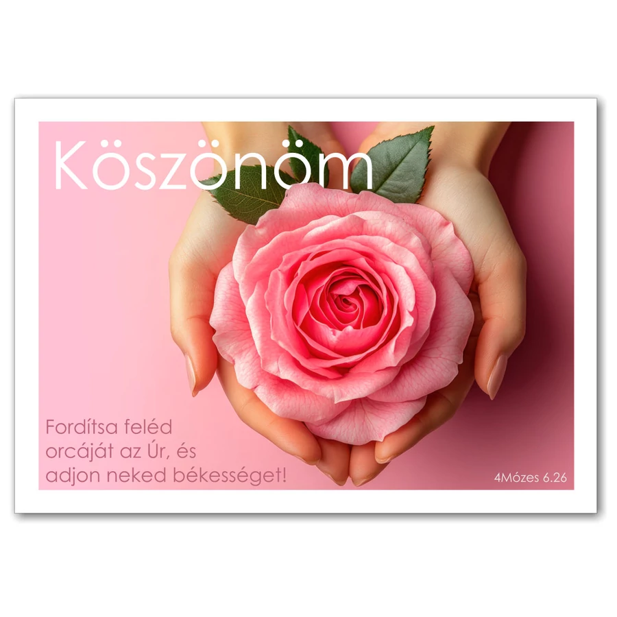 Képeslap - 04 (Köszönöm)
