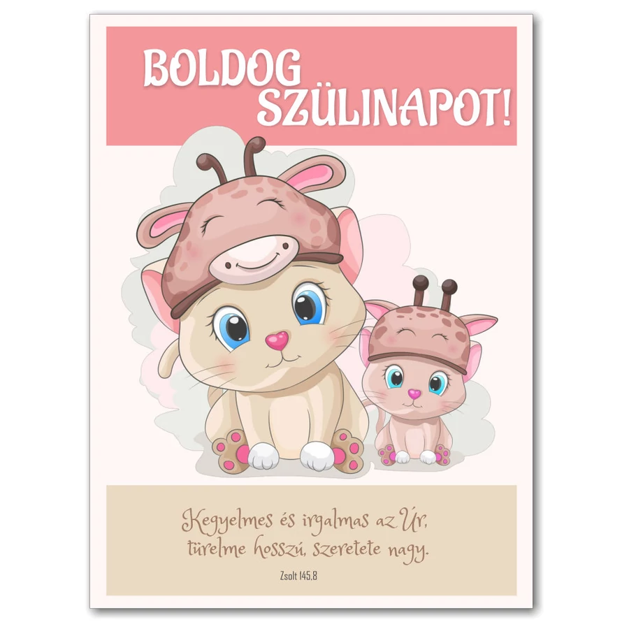 Képeslap - Születésnap - 09