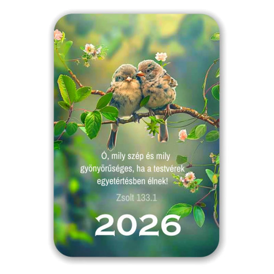 Kártyanaptár 04