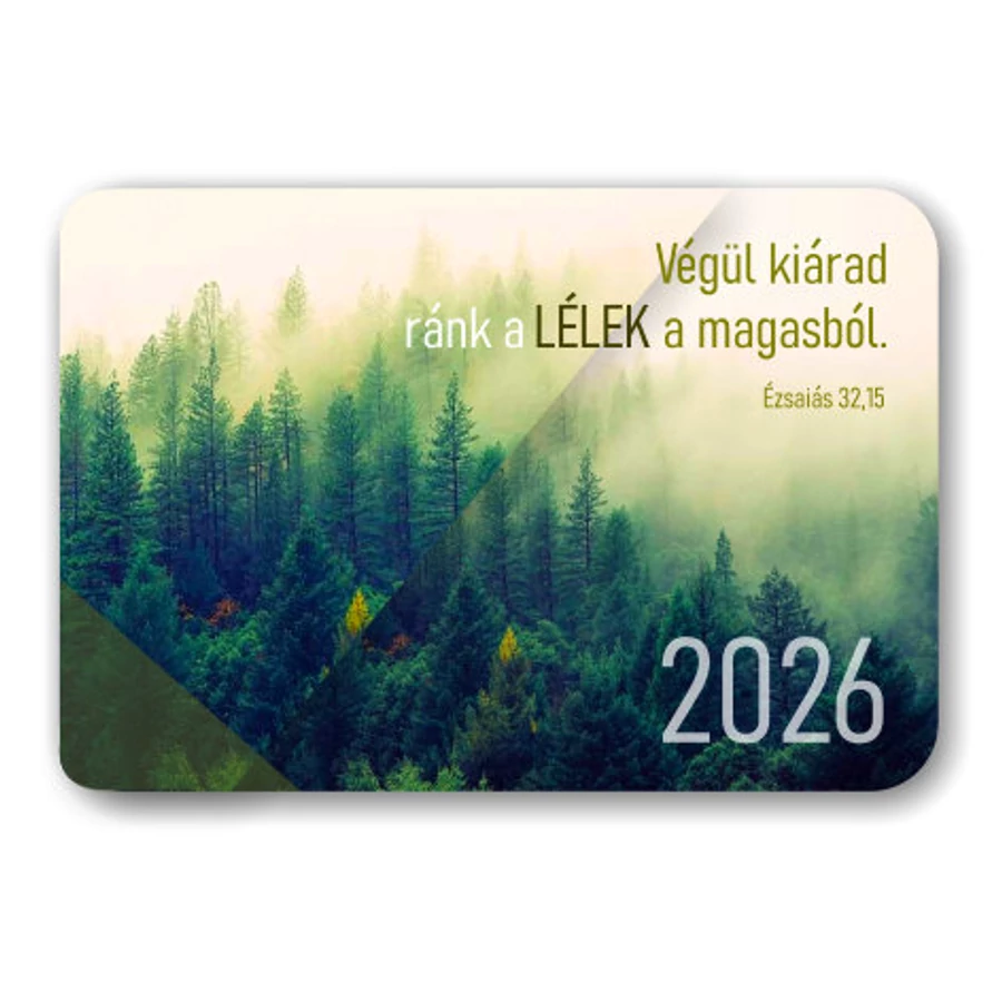 Kártyanaptár 08
