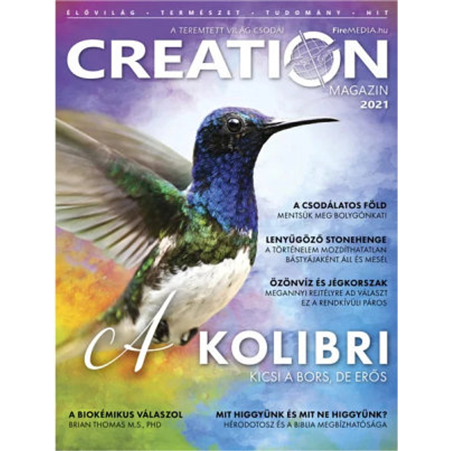 Creation - magazin / 2021